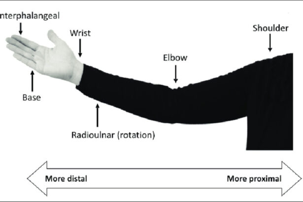 Proximal and Distal