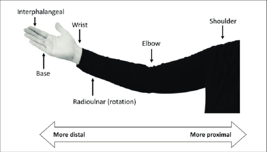 Proximal and Distal