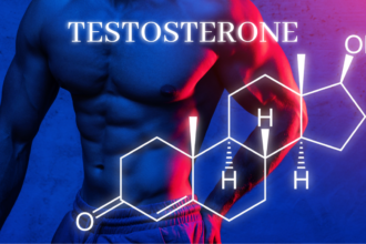 increase testosterone hormone