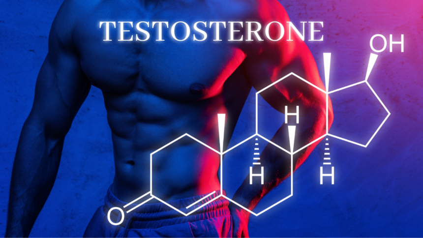 increase testosterone hormone